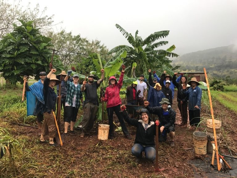 Statewide Beginning Farmer Training Program - GoFarm Hawaii