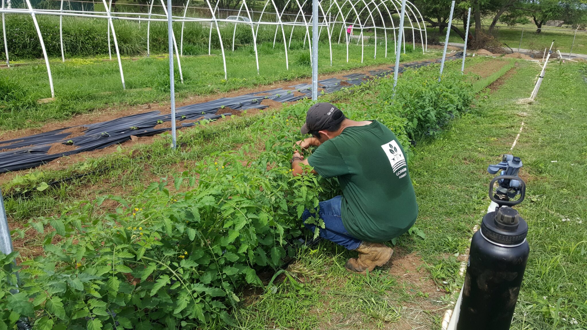 training-calendar-gofarm-hawaii