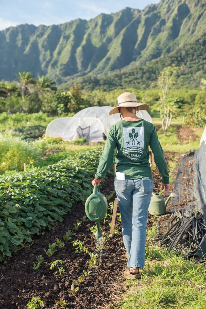 Young Hawaiian Farmers Learn Leadership And Gardening Skills The Salt NPR